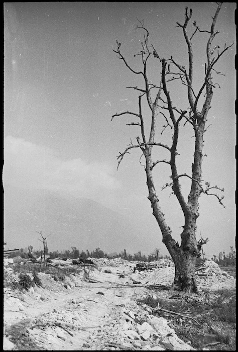 A scene of desolation in Cassino on the day it fell to Allied attack, Italy, World War II - Photograph taken by George Kaye