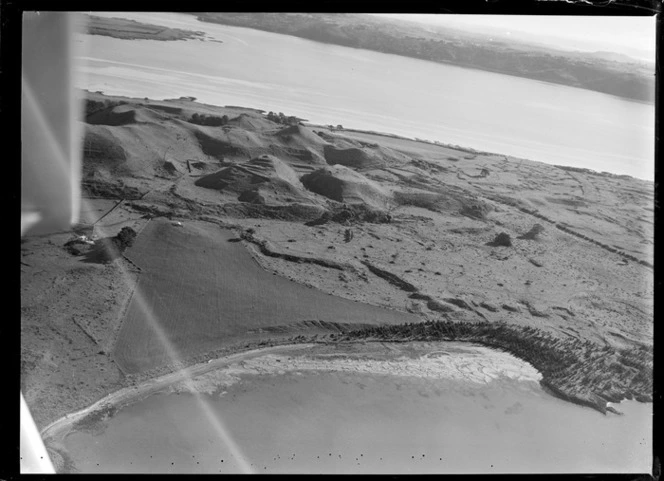 View of the Kellihers' Puketutu Island farm with a beach and open farmland, looking across the Manukau Harbour to Mount Roskill, South Auckland