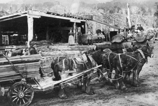 Horses transporting timber alongside Gamman's Sawmill, Ohakune