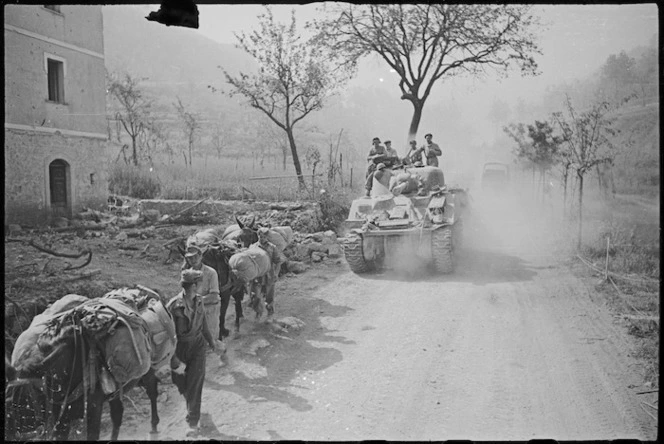 New Zealand tank passes a mule train on a dusty road in the Sora area, Italy, World War II - Photograph taken by George Kaye