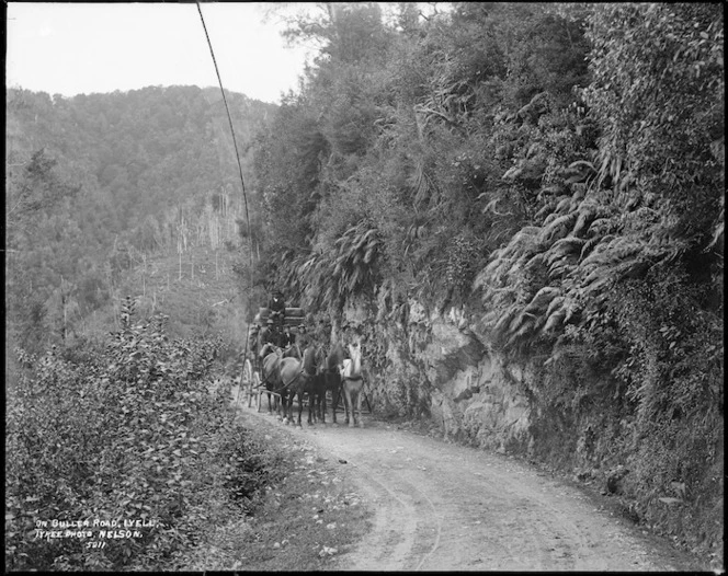 Horse drawn carriage on Buller Road, Lyell