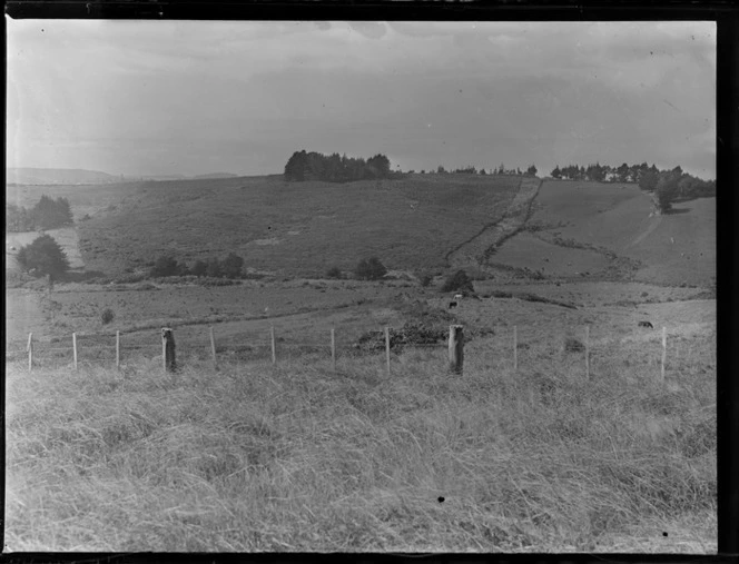 Fenceline and paddocks, Stanmore Bay, Whangaparaoa, Auckland