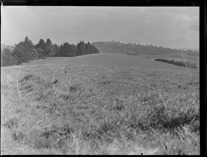 Stanmore Bay, Whangaparaoa, Auckland, including grassy area, trees and hills