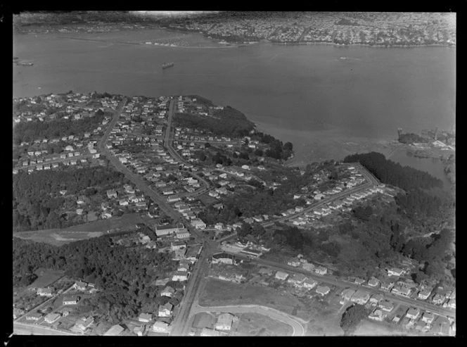 Birkenhead, North Shore, Auckland, including Ponsonby in the distance