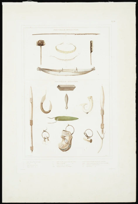 Sainson, Louis Auguste de, b 1800 :Nouvelle-Hollande. Nouvelle-Zelande. de Sainson pinx. Coupe sc. J Tastu editr; Ve Drouart impr. Pl[ate] 36. [Paris. 1833]