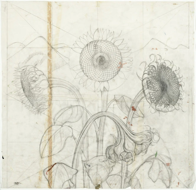 Mayo, Eileen Rosemary (Dame), 1906-1994 :[Drawing for Sunflowers painting. ca 1950]