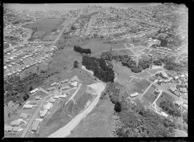 C L Innes Ltd series, St Heliers, Auckland