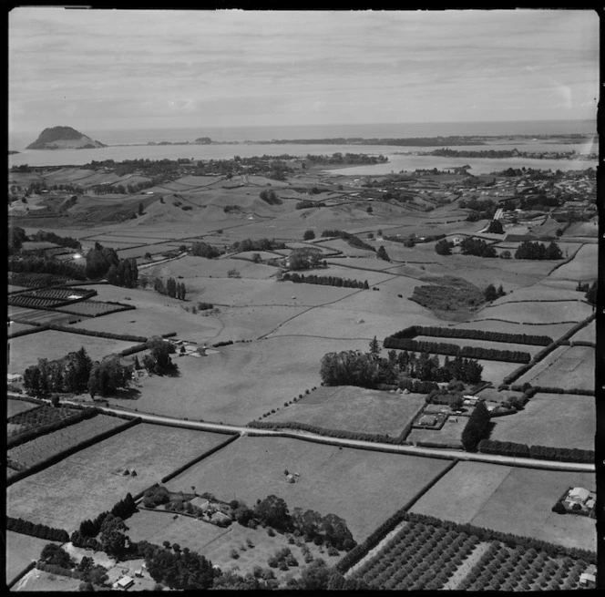 Land, including orchards, off Moffat Road, Tauranga