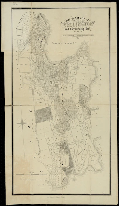 Map of the city of Wellington and surrounding districts / drawn & published by F.H. Tronson.