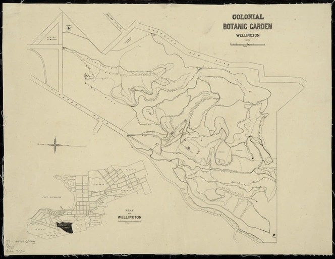 Colonial Botanic Garden, Wellington / drawn by John Buchanan.