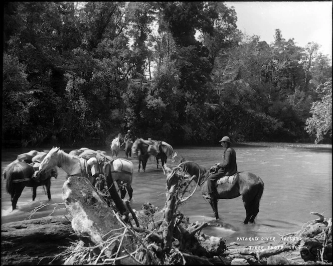 Packhorses, Patarau River, Taitapu