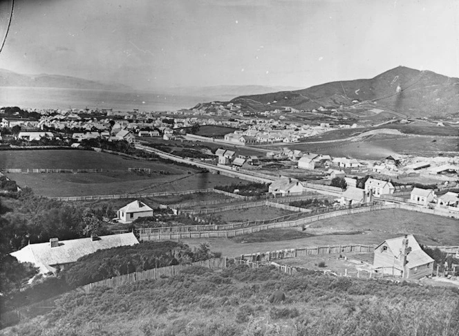 Mundy, Daniel Louis, 1826-1881: Wellington city