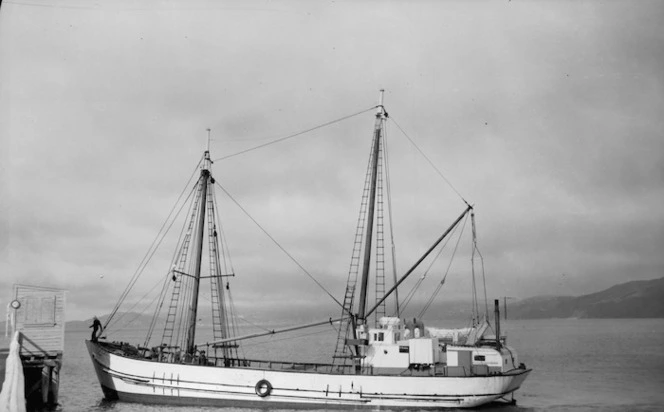 Ship Te Aroha at Nelson