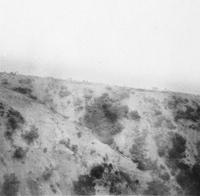 Photograph taken during the armistice to bury the dead, Gallipoli, Turkey