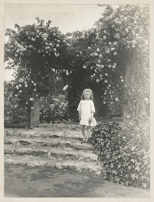 Rose covered pergola, Greenhill Station, Hawkes Bay, New Zealand