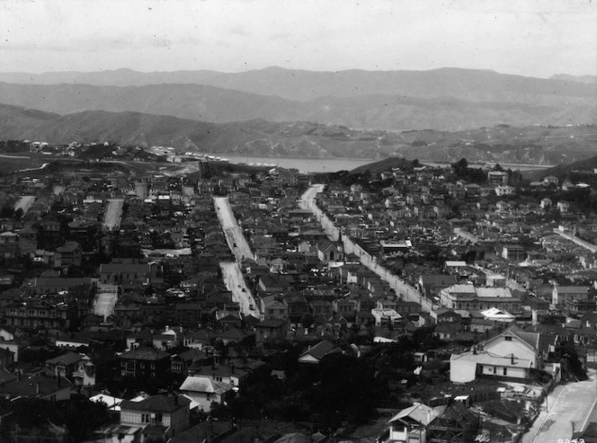 Overlooking the suburb of Newtown, Wellington