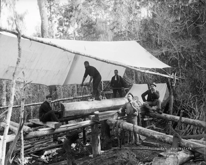 Saw pit, Taitapu Gold Estate, Tasman Region