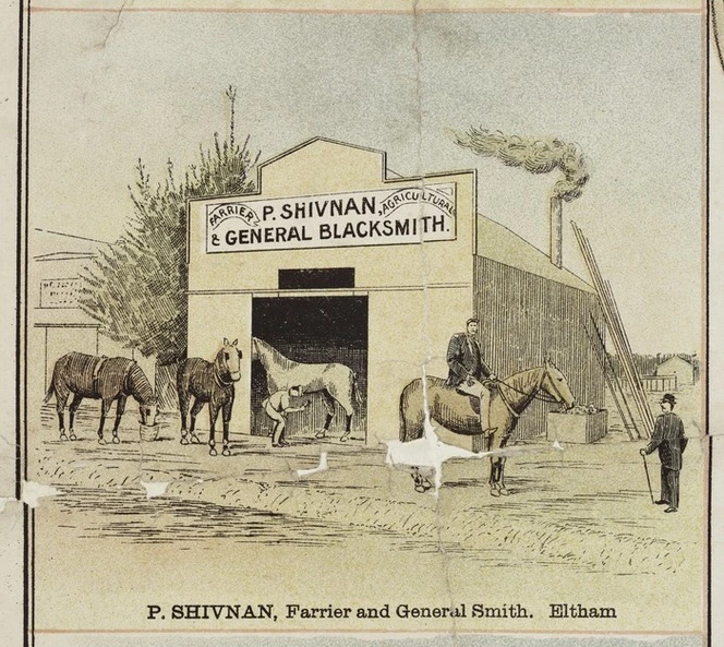 F W Niven & Co. :P Shivnan, general blacksmith. P. Shivnan, farrier and general smith, Eltham. [Ballarat, Victoria, ca 1893]