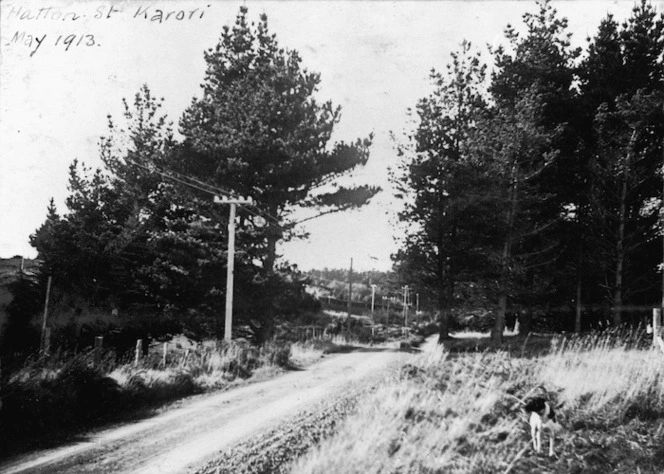 Hatton Street, Karori, Wellington