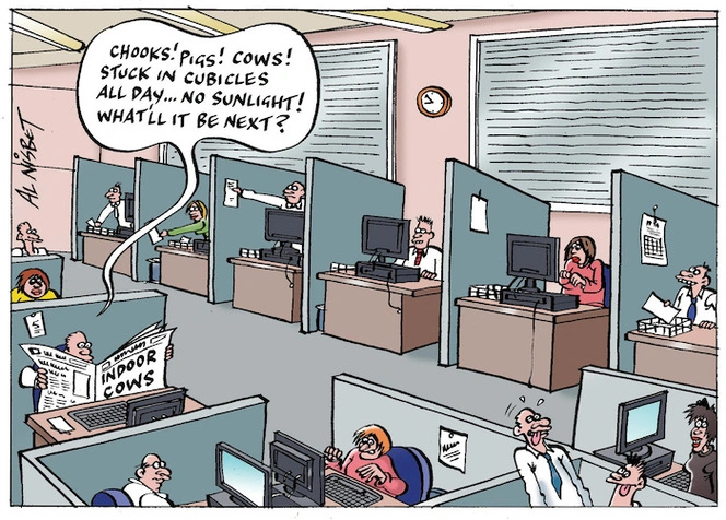 "Chooks! Pigs! Cows! Stuck in cubicles all day... no sunlight! What'll it be next?" 13 December 2009