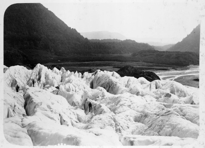 Franz Josef Glacier