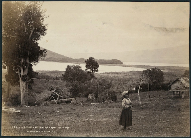 Ngongo, Lake Rotoaira - Photograph taken by the Burton Brothers