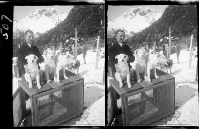 Unidentified man, with sled dogs, Mount Cook National Park, Canterbury Region