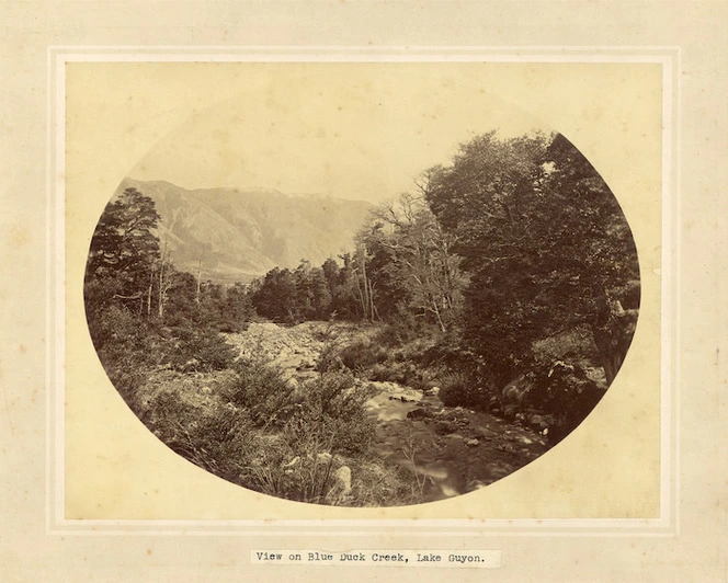 View on Blue Duck Creek, Lake Guyon, Nelson