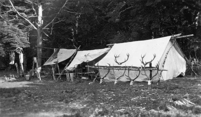 Deer hunters camp at Camerons Flat, and antlers