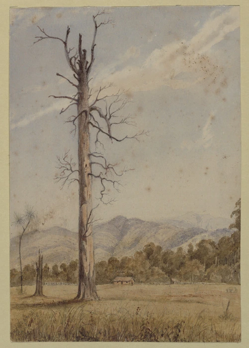 [Smith, William Mein] 1799-1869 :Kuratawiti Jan. 1854