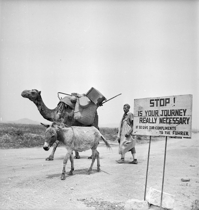 Bedouin moving belongings, Tunisia