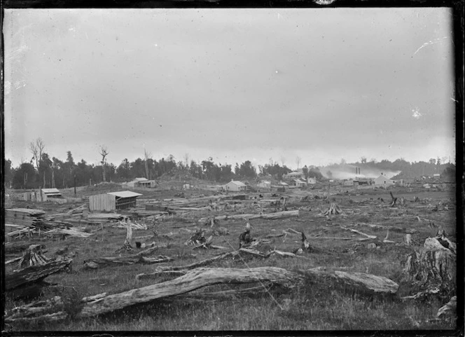 View of timber milling township of Mamaku, looking towards the Mountain Rimu Timber Company mill.