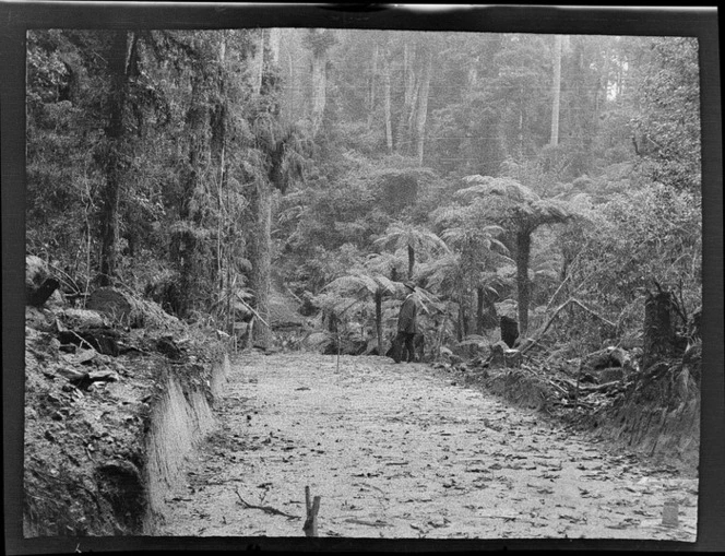 Unidentified man in native bush, Kakahi, Manawatu-Whanganui