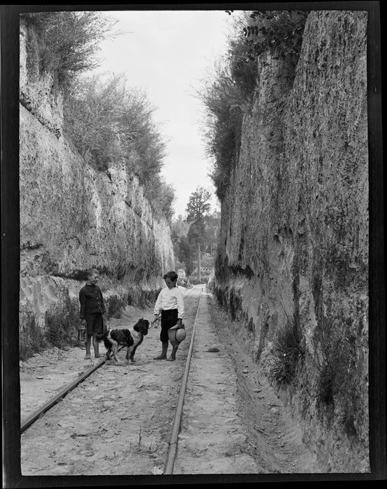 Two unidentified boys and a dog within a railway hill cutting with forest beyond, Kakahi District, Manawatu-Whanganui Region