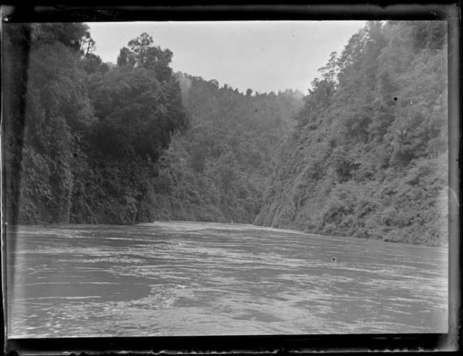 View off a boat on the Whanganui River with steep plant covered river banks and forest beyond