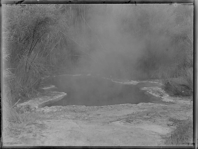 Hot pool, Rotorua District