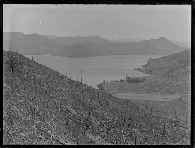 Crail Bay, Pelorus Sound, with a hill denuded of trees in foreground