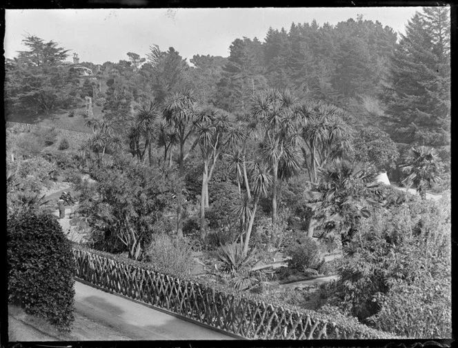 Wellington Botanic Garden, Kelburn, Wellington