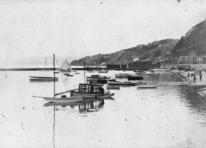 Oriental Bay Boat Harbour, Wellington