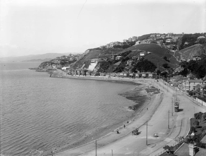 View of Oriental Bay Wellington