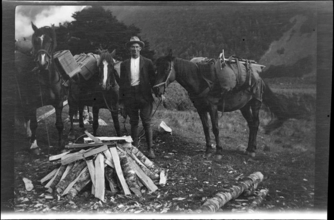 An unidentified man with three pack horses next to an unlit campfire, [Routeburn Track?], Southland Region