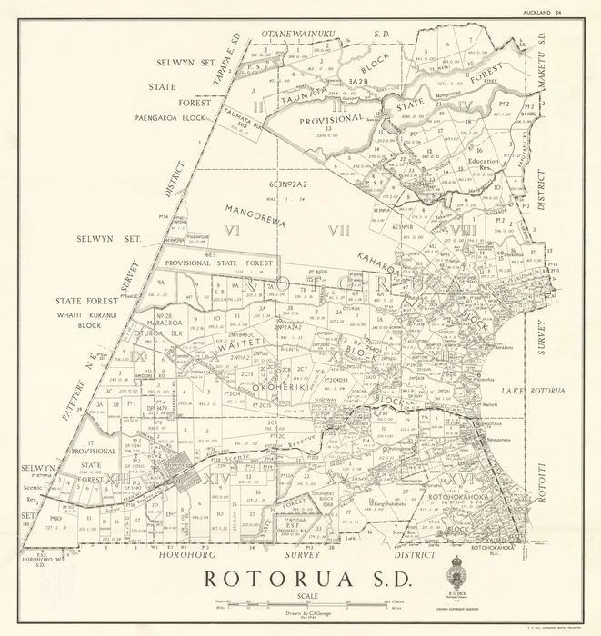 Rotorua S.D. [electronic resource] / drawn by C.A. George.
