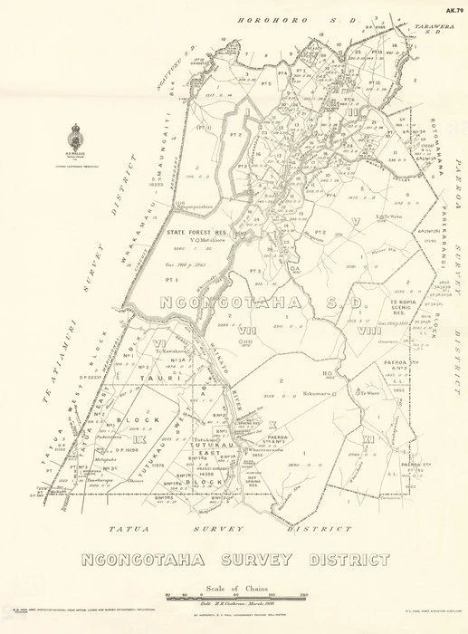 Ngongotaha Survey District [electronic resource] / delt. H.R. Cochran, March 1938.