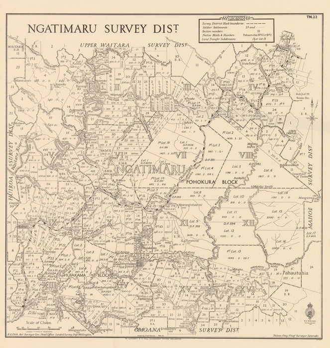 Ngatimaru Survey Dist. [electronic resource] / drawn by Fred Coleman.