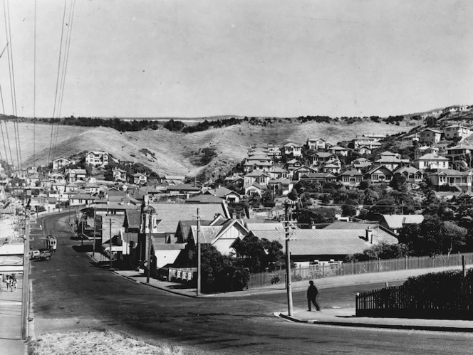 View of Hataitai