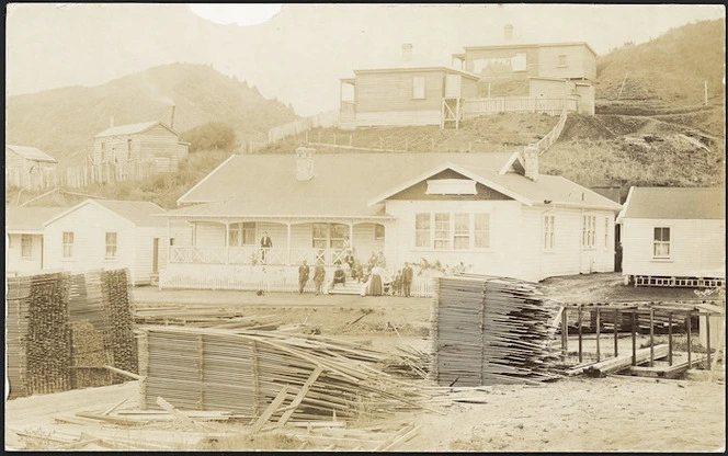 View of house in Mangapehi