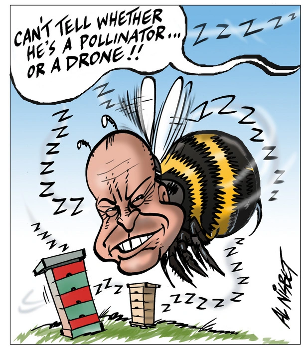 Nisbet, Alastair, 1958- :"Can't tell whether he's a pollinator...or a drone!!". 12 June 2013