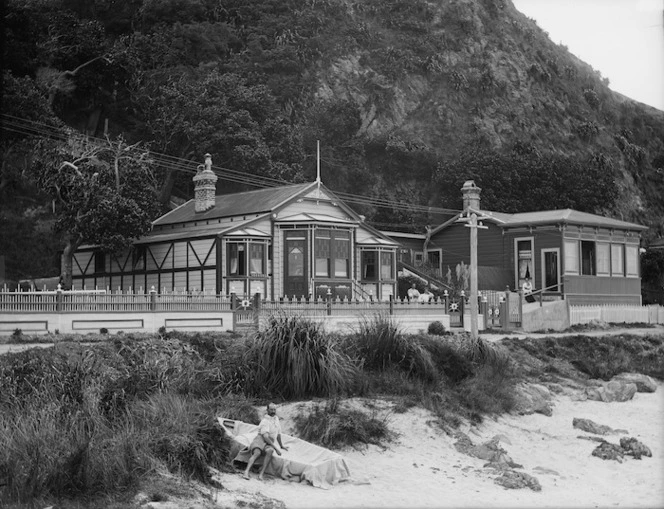 Houses on Karaka Bay Road, Wellington