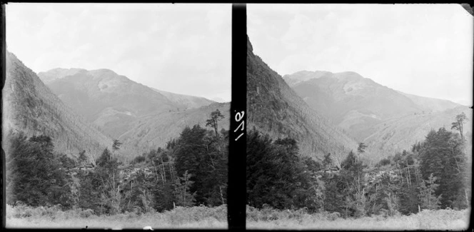 A valley, including a hillside that has been stripped of trees by a fire, [Fiordland National Park, Southland District?]