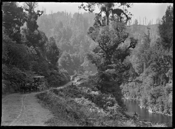 Tangarakau Gorge.